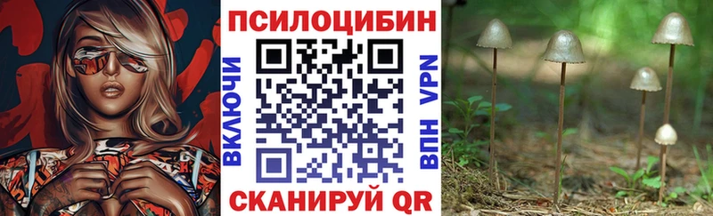 Псилоцибиновые грибы Psilocybine cubensis Коркино