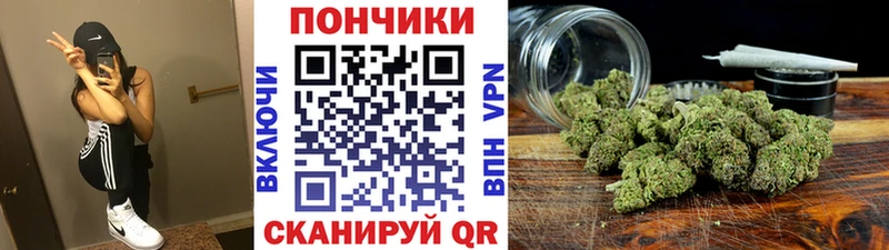 МАРИХУАНА SATIVA & INDICA  сколько стоит  MEGA зеркало  Коркино 